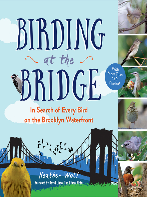 Book jacket for Birding at the bridge : in search of every bird on...